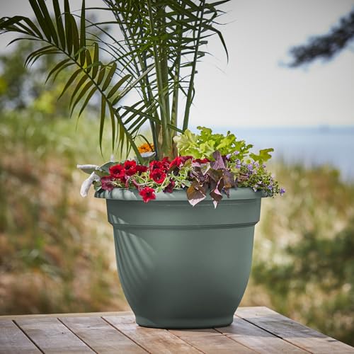 Bloem Ariana 16" Plastic Self-Watering Planter, Basil, 2-Pack - color: Basil, size: 16" (Pack of 2)