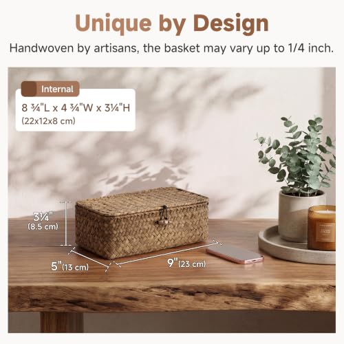 StorageWorks Wicker Basket with Lid, Storage Baskets with Lids, Brown - color: Brown(Seagrass), size: 9"L × 5"W × 3¼"H