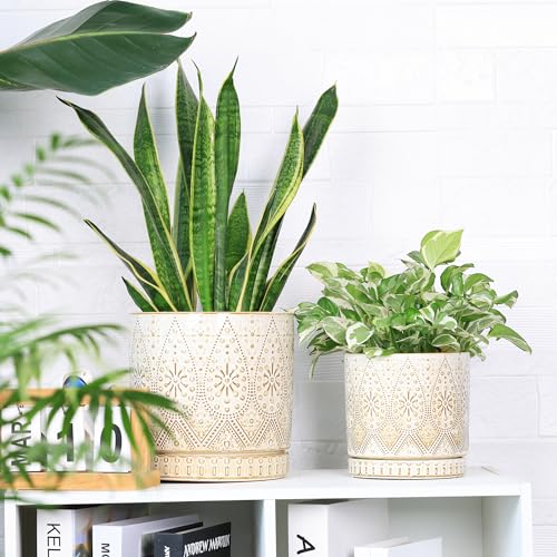 8 Inch + 6 Inch Indoor Plant Pot with Drainage Holes and Saucers, Ceramic Planter for Plants, Succulent Orchid Flower Pots - color: Creamy White, size: 8Inch+6Inch