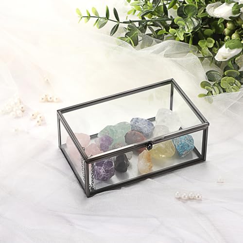 Hipiwe Vintage Glass Keepsake Box Clear Jewelry Display Lidded Box with Lid - color: Black, size: Small