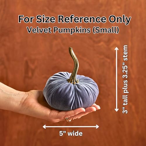 Your Heart's Content Set of 3 Small Velvet Pumpkins (Sm Harvest Gold Olive) - color: Sm Harvest Gold Olive