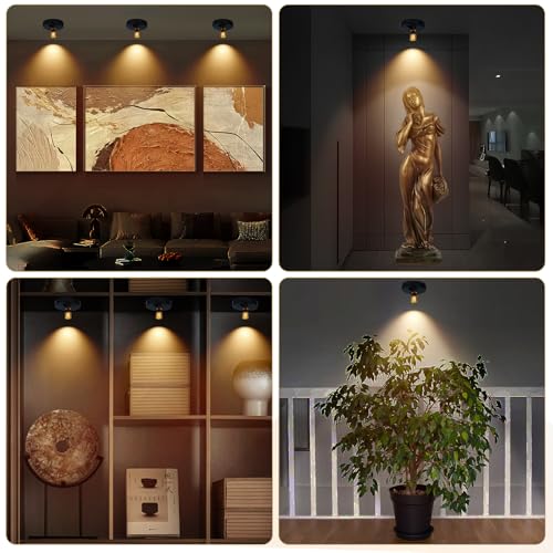 Rechargeable Spotlight, Battery Powered Picture Lights with Remote - color: chargeable Black+G