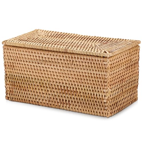 Hipiwe Rattan Basket Storage Box with Lid Handwoven Lidded Wicker Baskets - size: 11.8"L x 6.2"W x 6.1"H