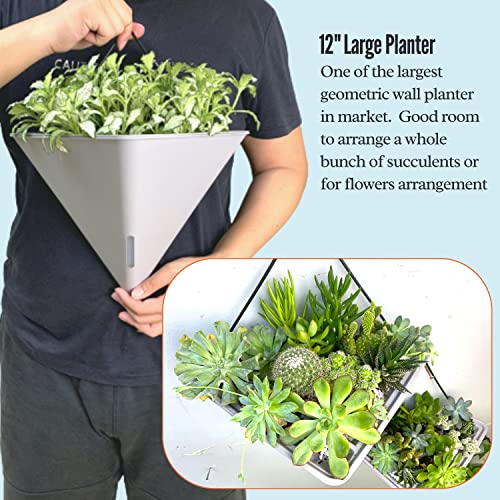 LaLaGreen Succulent Wall Planters (12in, 2 Pack) Large Self Watering Pots - color: Gray X 2 Pack