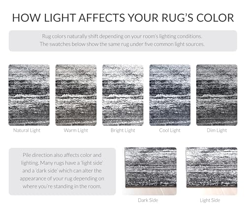 SAFAVIEH Adirondack Accent Rug 2'6"x4', Modern Silver & Black ADR112A - color: Silver/Black, size: 2'6" x 4' (Rectangular)