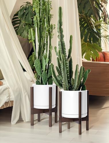 D'vine Dev Ceramic Pot with Walnut Wood Stand, White, 8 in, 55-B-Y-1 - color: White Pot + Walnut Color Stand, size: 8 Inch