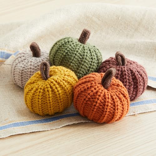 Set of 5 Mini Knit Pumpkins, Thanksgiving Table Centerpiece, Anthropology Home, Pottery Farmhouse and Barn Fall Décor, Bowl and Basket Filler, Autumnal Aesthetic, Cute Shelf Sitter, Hygge (Autumn Set) - color: Autumn Set
