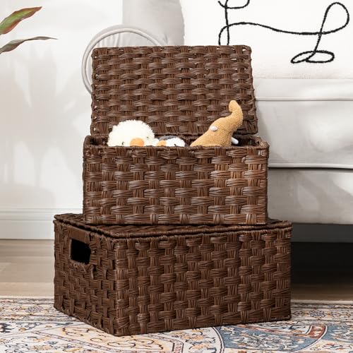 GRANNY SAYS Wicker Basket with Lid, Decorative Storage Baskets for Shelves - color: Brown, size: 4 Pack