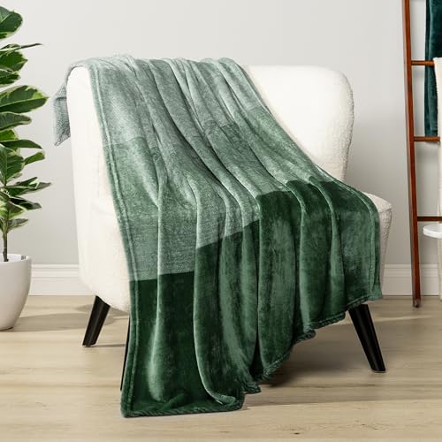 PAVILIA Green Ombre Fleece Throw Blanket for Couch Sofa Bed, 60x80 Twin - color: Gradient - Green, size: 60 x 80 Inches - Twin