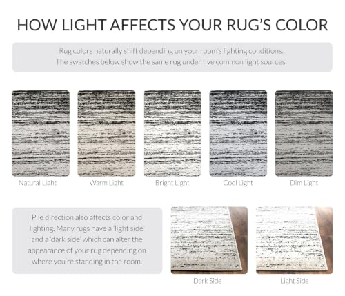 SAFAVIEH Adirondack Accent Rug 2'6"x4', Silver & Black ADR113A - color: Silver/Black, size: 2'6" x 4' (Rectangular)