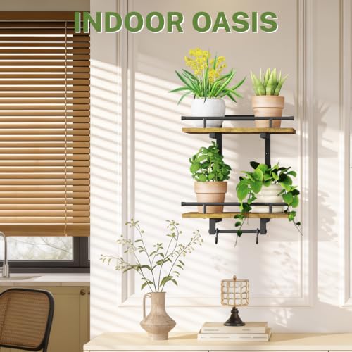 iDavosic.ly Wall Plant Holder, 2 Tier Indoor Floating Display Shelf, Brown - color: Rustic Brown