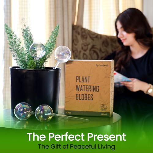 Iridescent Self Watering Globes, Glass Rainbow Plant Watering Globes, Self Watering Planter Insert, Automatic Plant Waterer Indoor (Medium-4 Pcs Iridescent, Medium) - color: Medium - 4 Pcs (Pack of 1)