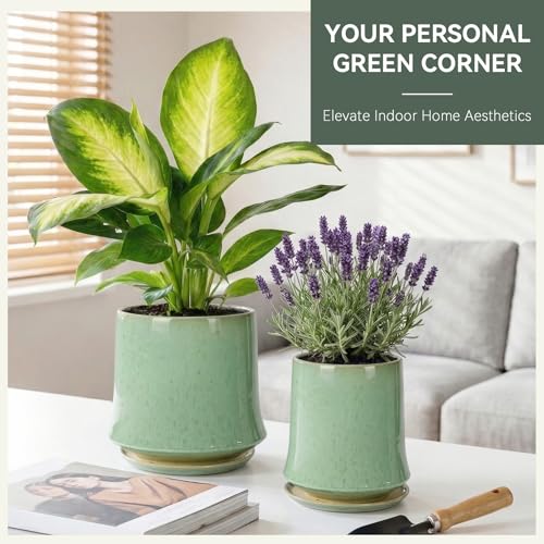 8 Inch Ceramic Planter Pot with Saucer Drainage Leak-Proof Mesh,Flower Pots for Lavender with Gardening Gloves,Ceramic Planter for Orchid(Light Green) - color: Light Green, size: 8 Inch