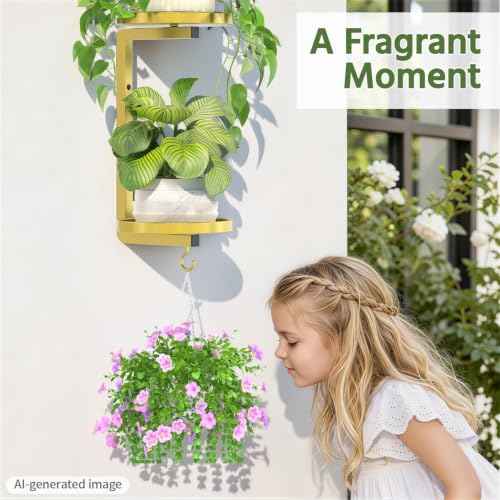 LASZOLA Plant Hanger Holder Window Shelf Wall Mounted Indoor, 2 Pcs Gold - color: Warm Gold, size: 2