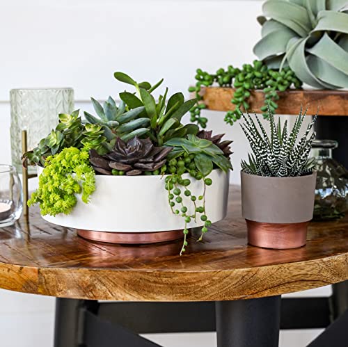 The HC Companies 8 Inch Round Plastic Succulent Capri Bowl 8"x8"x3" in Artisan Taupe with Copper Bottom Color - color: Artisan Taupe, size: 8"