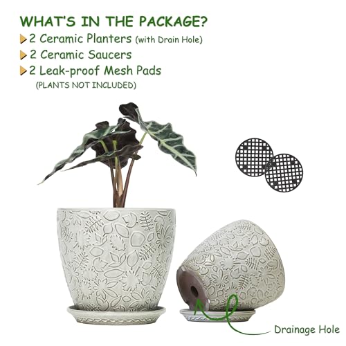 8 Inch + 6 Inch Retro Ceramic Planter Set of 2 with Drainage Hole and Saucer for Multiple Plants, Indoor-Outdoor Garden Pots for Succulent, Orchid, and Flower (Retro White) - color: Retro White, size: 8Inches+6Inches