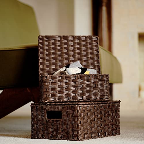 GRANNY SAYS Wicker Baskets with Lids, Decorative Storage Boxes with Lids - color: Brown, size: 3 Pack