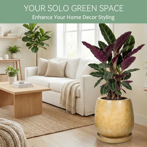 10.3 Inch Ceramic Glaze Plant Pot with Saucer, Flower Pots with Drainage Hole Mesh Net (Brown-Yellow) - color: Brown