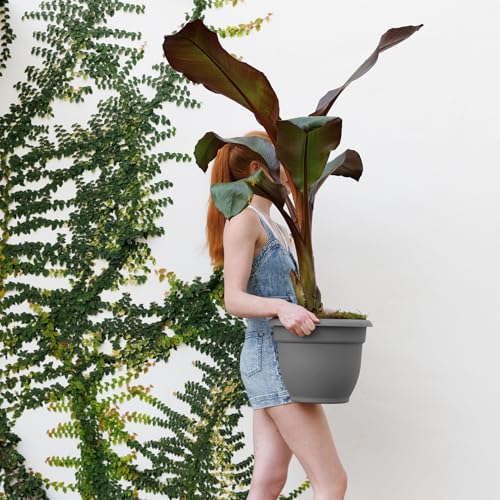 Bloem Ariana 12" Plastic Self-Watering Planter, Charcoal, 2-Pack - color: Charcoal, size: 12" (Pack of 2)