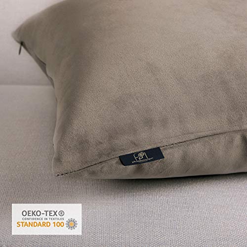 Phantoscope Pack of 2 Velvet Decorative Throw Pillow Covers Soft Solid Square Cushion Case for Couch Taupe 18 x 18 inches 45 x 45 cm - color: Taupe, size: 18" x 18" (Pack of 2)