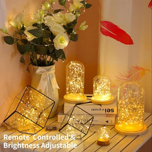 GDEALER 2 Pack 20 Ft 60 LED Fairy Lights, Battery-Operated, Warm White - color: Warm White- Silver Wire