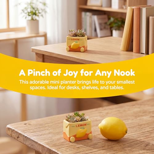 Cloud-Shaped Small Succulent Planters, 3.4''Dog Cute Plant Pots with Drainage Holes Funny Mini Resin Flower Pots for Indoor Outdoor Home Office Gifts (Mini B) - style: Mini B
