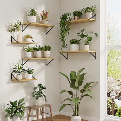 Axeman Deep Floating Shelves, 16'' x 10'' Oak Wall Shelves Set of 2 - color: Oak, size: 16W x 10D