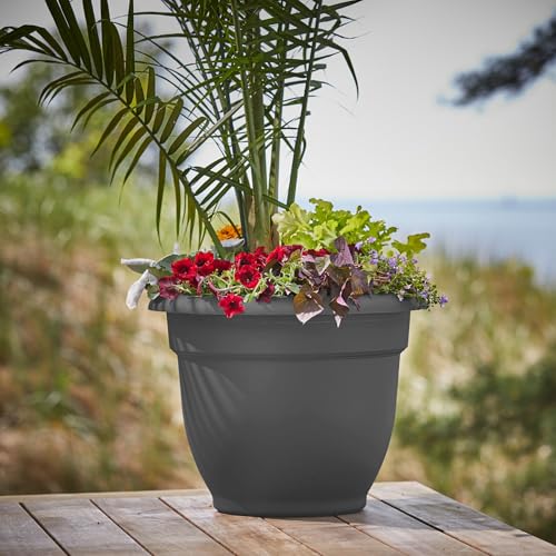 Bloem Ariana 10" Plastic Self-Watering Planter, Charcoal, 4-Pack - color: Charcoal, size: 10" (Pack of 4)