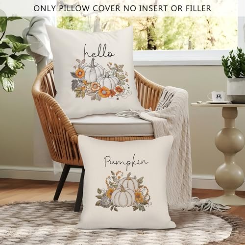 Vintage Neutral Fall Pumpkin Throw Pillow Covers 18x18 Set of 2, Autumn White Hello Pumpkin Decor Pillow Cases, Rustic Farmhouse Thanksgiving Harvest Decor Cushion Cover Pillowcases for Home - color: Neutral