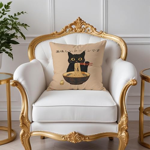 Funny Vintage Cute Anime Black Cat Japanese Ramen Noodles Pillow Covers 18x18, Aesthetic Black Cat Art Painting Decor Pillow Covers for Room Bedroom - color: Style11