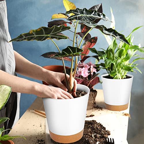 GARDIFE Plant Pots 7/6.5/6/5.5/5 Inch Self Watering Planters with Drainage Hole, Plastic Flower Pots, Nursery Planting Pot for All House Plants, African Violet, Flowers, and Cactus,White - color: 7-white, size: 7+6.5+6+5.5+5 inch