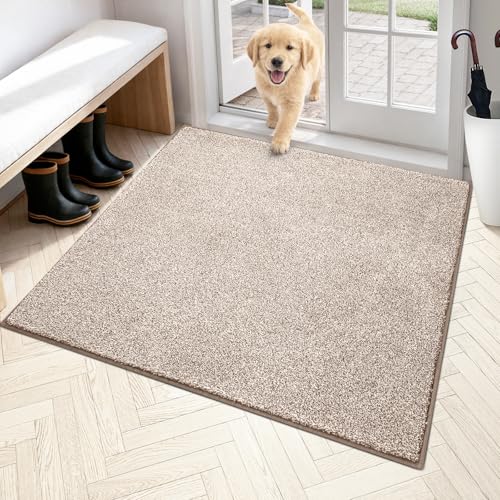 PURRUGS Area Rug, 48" x 48", Taupe - color: Taupe, size: 48" X 48"
