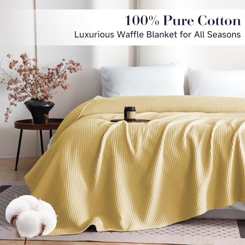 Simple&Opulence 100% Cotton Waffle Weave Blanket Twin Size 66"x90", 260GSM Pre-Washed Soft Cooling Lightweight Breathable All-Season Layer Blanket, Home Decor Gift for Adults Couch Bed, Light Yellow - color: Light Yellow, size: Twin(66"x90")
