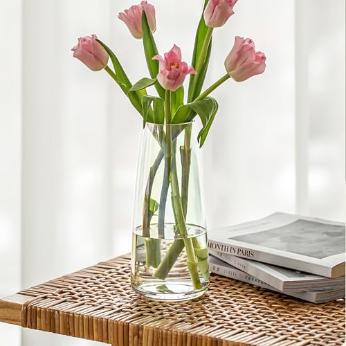 FANTESTICRYAN Modern Glass Vase, 8.7''H Decor Flower Vases, Crystal Clear - color: Crystal Clear