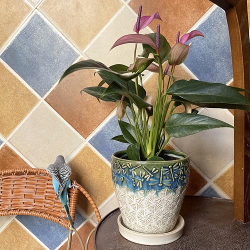6 Inch Ceramic Planter Pots with Drainage Holes, Saucers and Mesh Pads for Indoor-Outdoor Plants, Succulent Orchid Flower Large Round Plant Pot, Set of 2 (Green+White) - size: set of 2-6inch