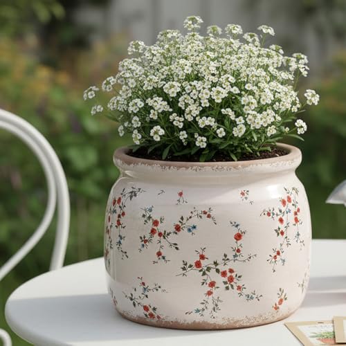Cottagecore Ceramic Plant Pots, 6.29" French Country Floral Vase & Planters - color: Tiny Red, size: 6.3 in