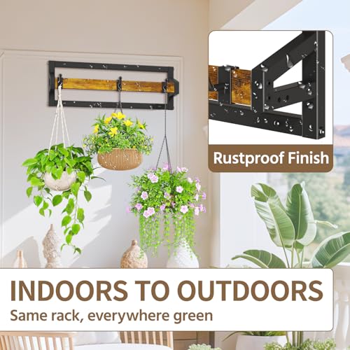 LASZOLA Plant Hanger Holder Shelf Indoor Window Wall Mount, 2 Pack Brown - color: Black+Brown, size: 2