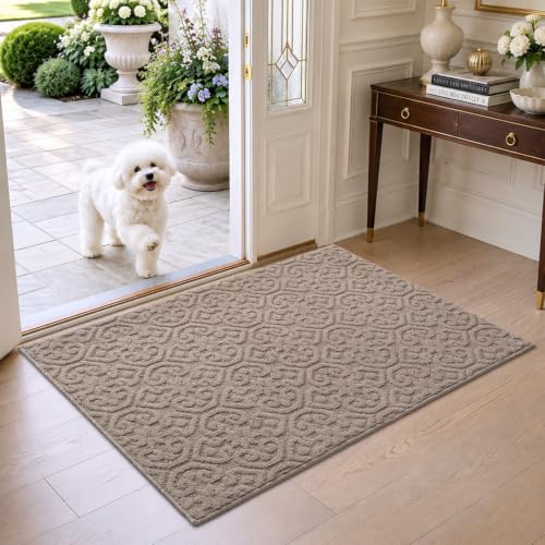 DEXI Front Door Mat Indoor Entrance, 3x5 Entryway Doormat, Beige - color: Beige, size: 36" X 60" (Rectangular)