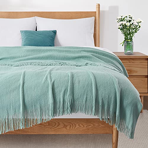 Homiest Light Green Knitted Throw Blanket with Fringe, 50x60 Inch - color: Light Green, size: 50" x 60"