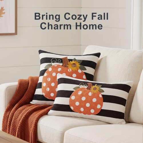 Fall Pillow Covers 20x20 Set of 2, Embroidered Orange Pumpkin - color: Black & White Stripe Pumpkin(appliqué), size: 20" x 20" (Pack of 2)