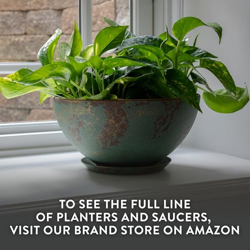 GROWSCAPE Rosie Planter Bowl, with Drainage and Saucer, 10” Earth - color: Earth