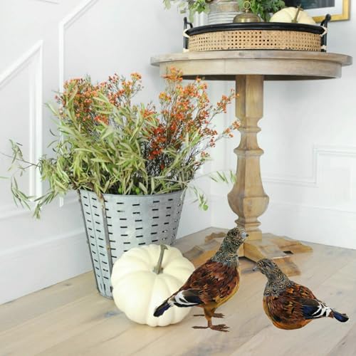 naturevibe 7.5 Inches Feathered Quail Set of 2 Fall Decorations - style: Quail Decor-Set of 2
