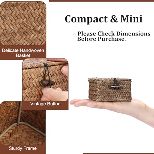 Small Wicker Basket with Lid, Square Seagrass Organizer - color: Coffee color, size: 3.5"L x 3.5"W x 2"H