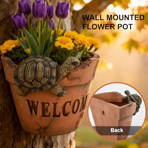 Rustic Turtle Welcome Hanging Wall Planters for Indoor Plants Cute Planters - color: Tortoise