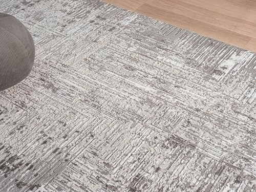 5x7 Gray Modern Abstract Area Rug for Living Room - color: 1001 - Gray, size: 5' x 7' (Rectangular)