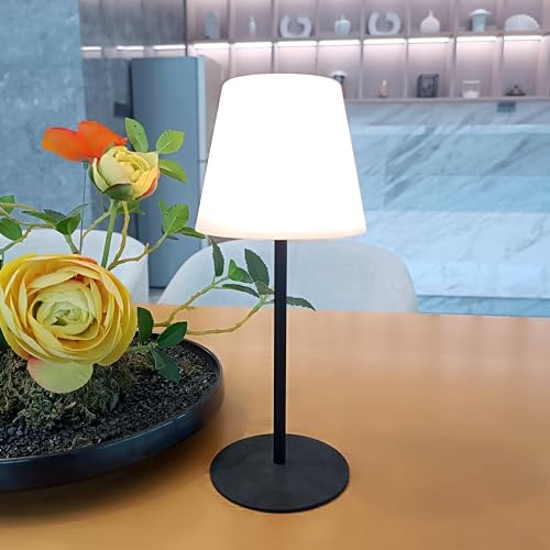 Rechargeable Touch Control Color Changing Table Lamp Dimmable LED Bedside Night Light with Ambient Lighting 2 Pack