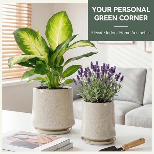 8 Inch Ceramic Planter Pot with Saucer Drainage Leak-Proof Mesh,Flower Pots for Lavender with Gardening Gloves,Ceramic Planter for Orchid(Silk White) - color: Silk White, size: 8 Inch