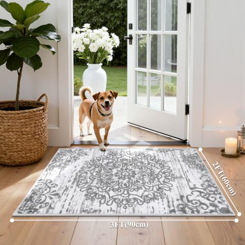 HEBE Indoor Door Mat 2'x3', Washable Welcome Mat for Front Door Entrance - color: Grey, size: 2' x 3' (Rectangular)