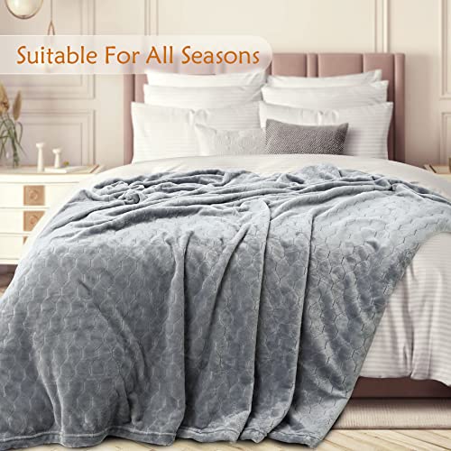 TOONOW Fleece Blanket Super Soft Cozy Throw Blanket 50" x 60", Lightweight Fuzzy Comfy Textured Flannel Blanket Warm Plush Throw Blankets for Couch, Sofa, Bed, Light Grey - color: Light Grey