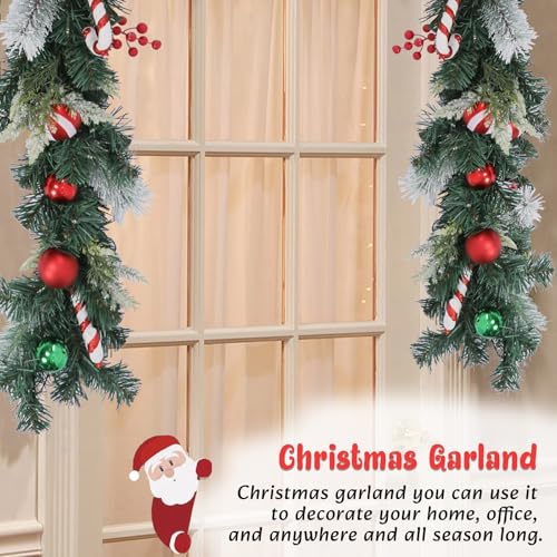 DREAM GARDEN 6 FT Lighted Christmas Garland for Front Door